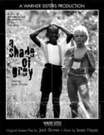 A Shade of Grey